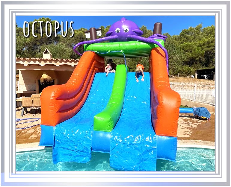 The Octopus Inflatable Water Slide