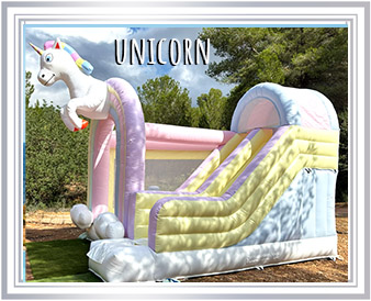 Racer Challenge Bouncy Castle Assault Course