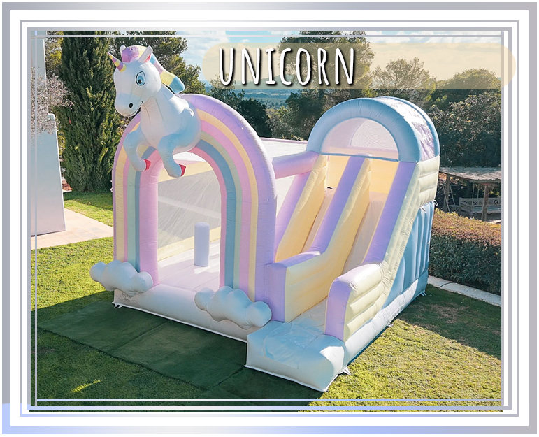 Unicorn Frame 2 2025